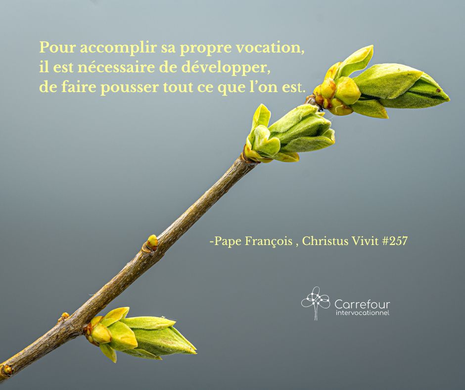 Citation du pape François - Christus Vivit